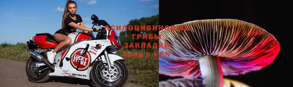 PSILOCYBIN Баксан