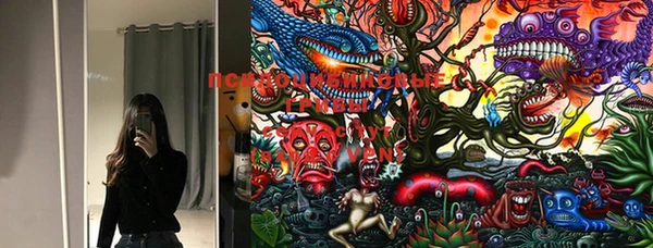 PSILOCYBIN Баксан
