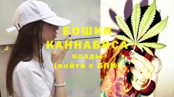 PSILOCYBIN Баксан