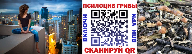 Галлюциногенные грибы Cubensis  Красный Холм 